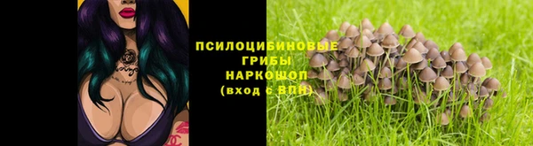 скорость Баксан