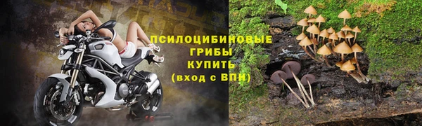 МДПВ Балахна